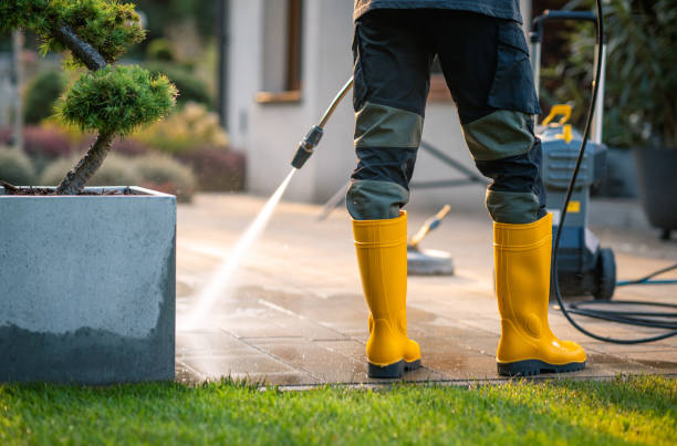 Best Pressure Washing Siding  in Center Point, IA